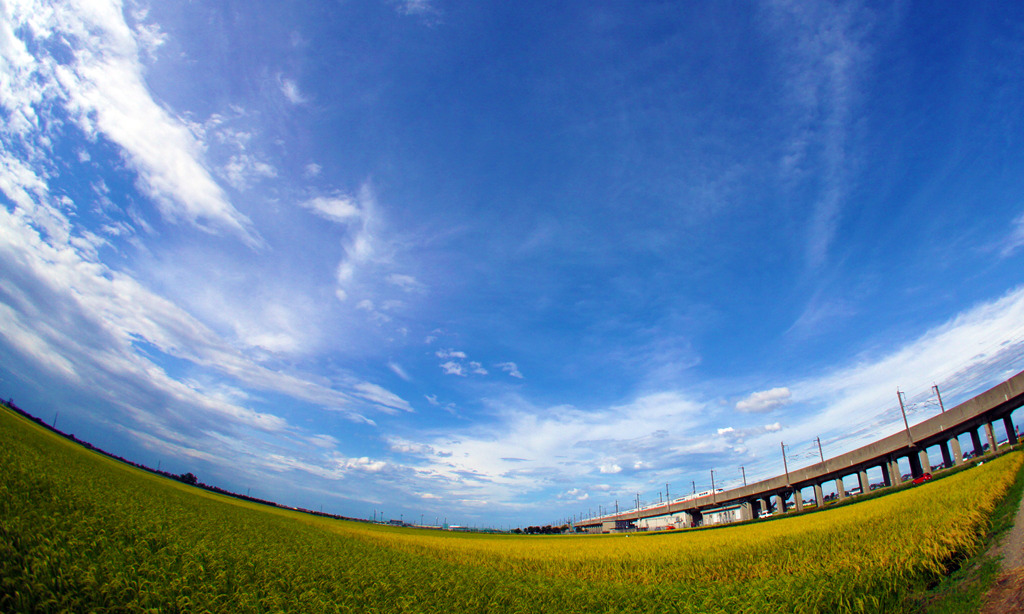大空と大地の恵み