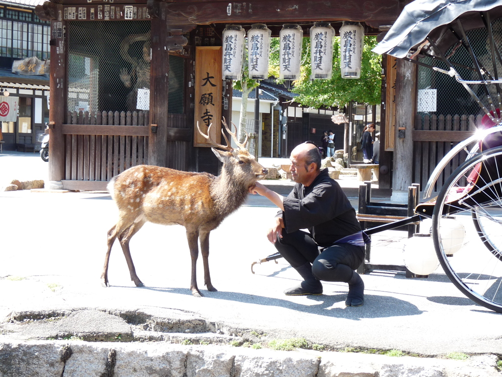おじさんと鹿