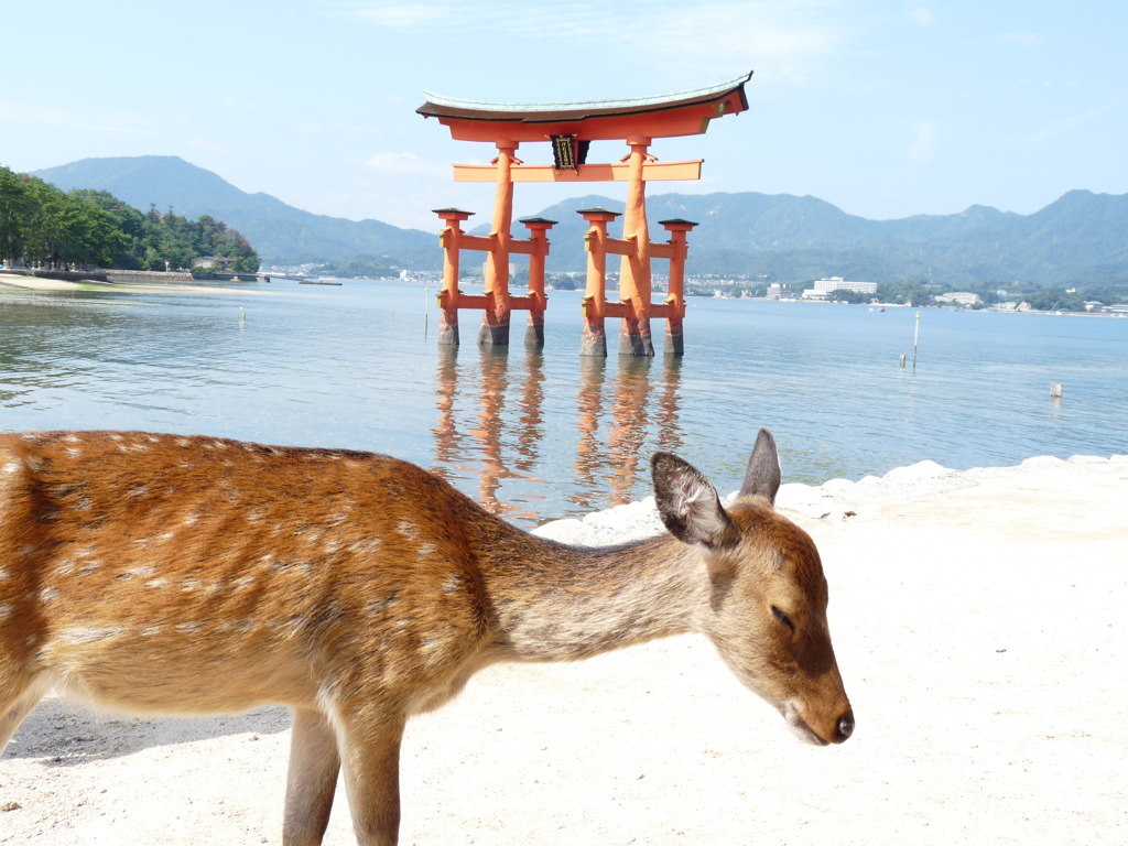 宮島