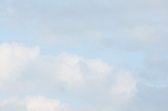 柔らかい空