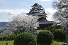 お城と桜