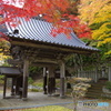 山門・珍蔵寺