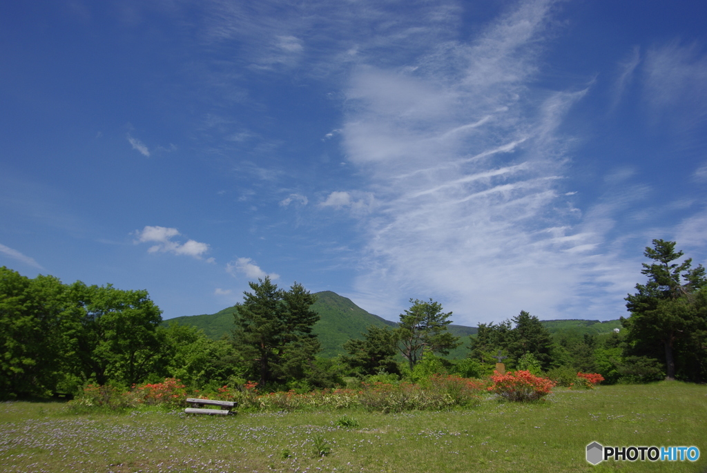草原の風