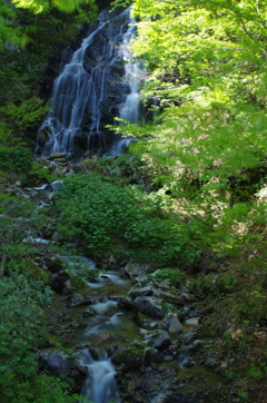 芳澤不動滝