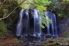 人気の滝