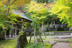 鶴布山珍蔵寺　④