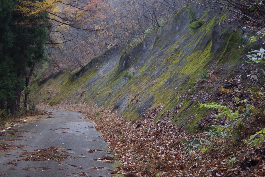 錆びれた国道(旧Ｒ３４８)