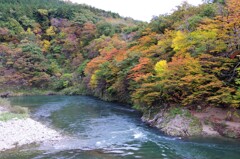 荒川侠もみじライン　２