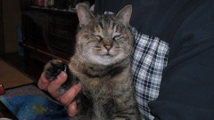 俺　眠く なっちやった。