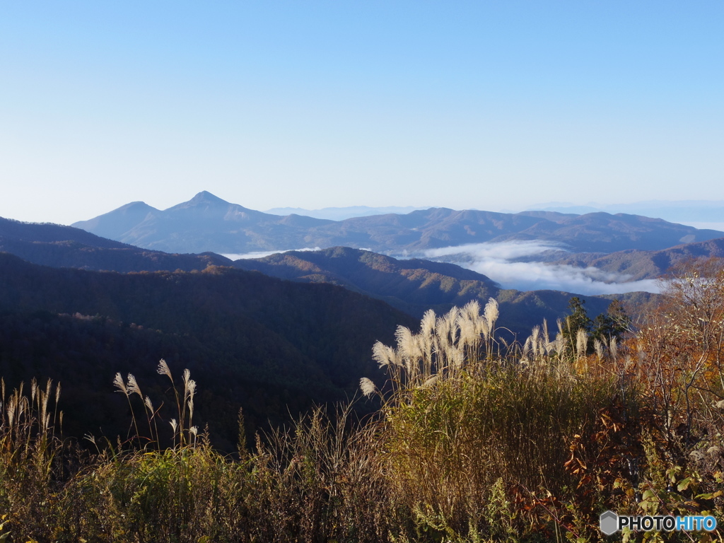 朝の目覚め