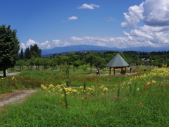 ゆり公園をフィッシュで