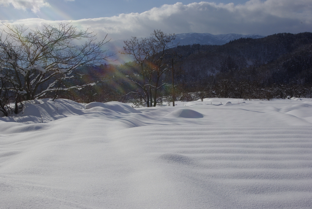 雪原に光射す