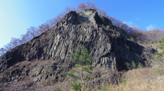 ガーオ～　恐竜　？？