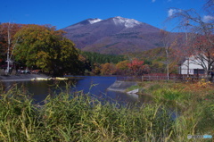 秋晴れ