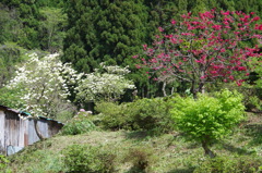 里山