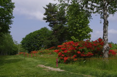 蔵王高原