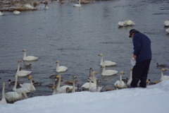 みんな仲良く食べるんだよ
