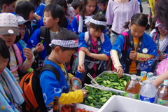 早く食べないと無くなるぞ～