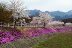 立谷川河川敷公園　１