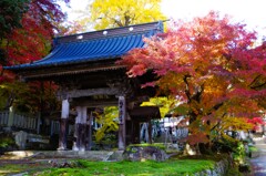 夕鶴の里珍蔵寺　紅葉　④