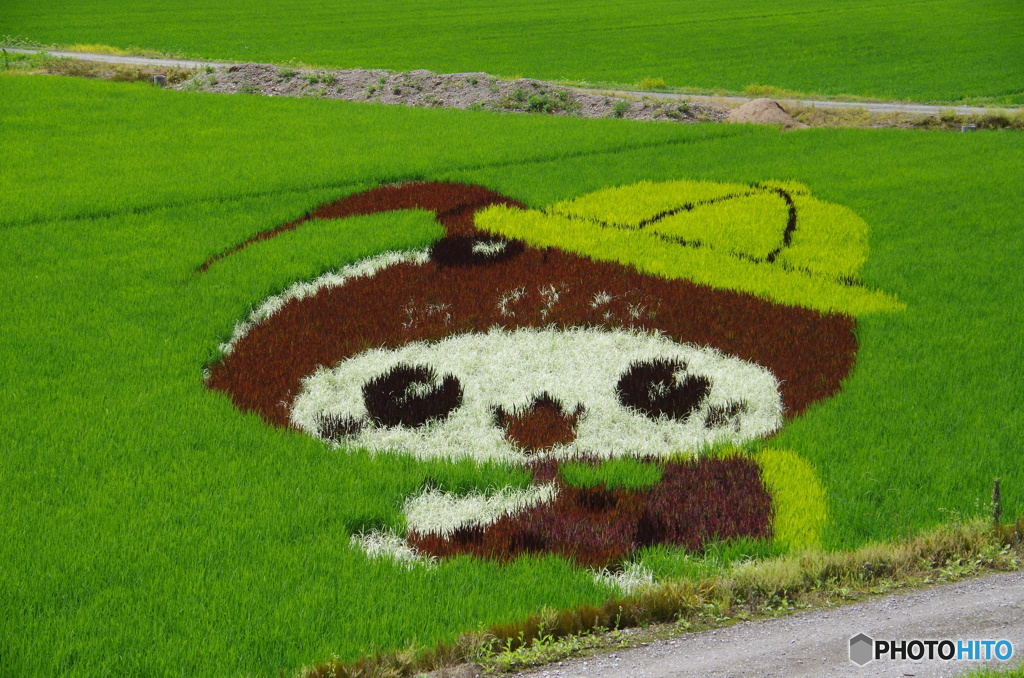えび～にゃくん
