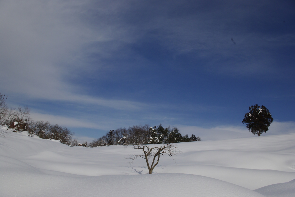 雪原と青空