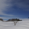 雪原と青空