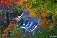 紅葉の間から見た滝