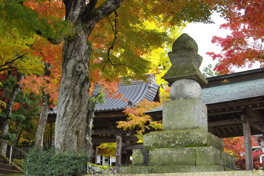 鶴布山珍蔵寺