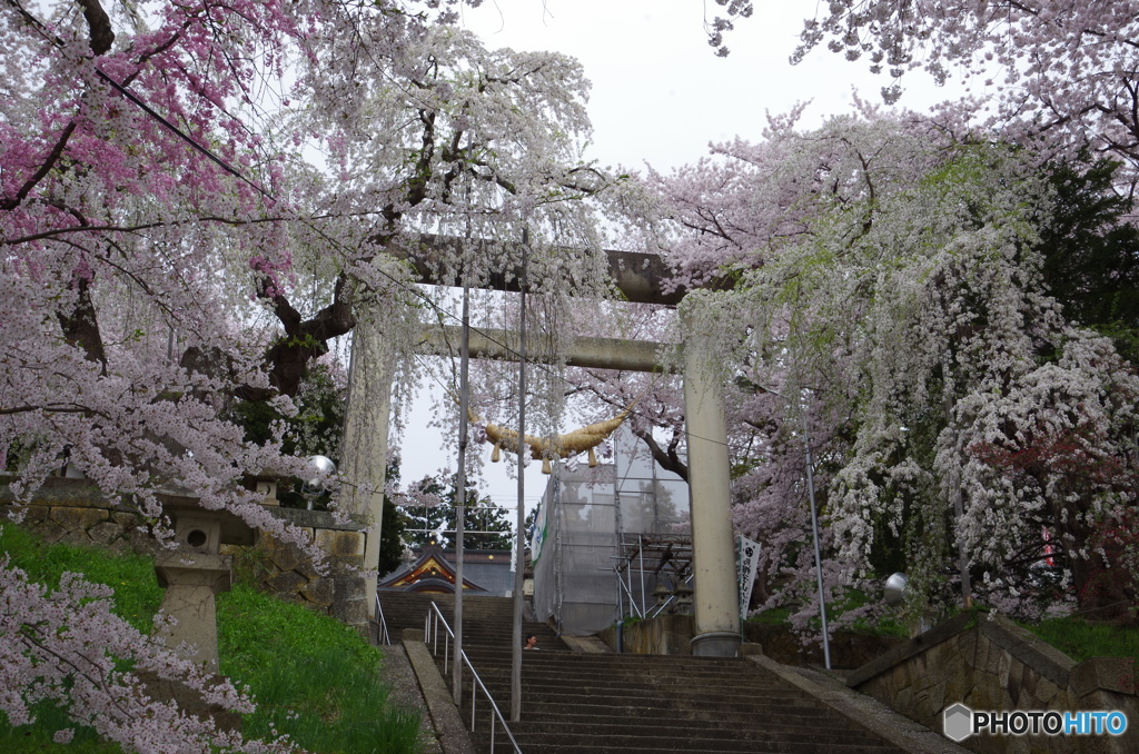 日本一の鳥居