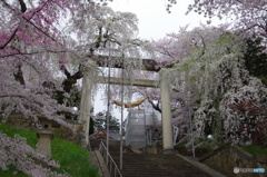 日本一の鳥居