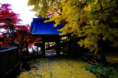 夕鶴の里珍蔵寺　紅葉　③