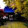 夕鶴の里珍蔵寺　紅葉　③