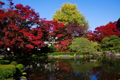 もみじ公園　①
