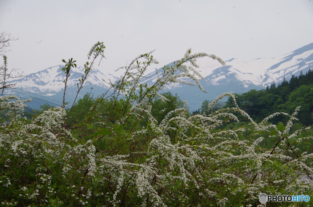 残雪の月山