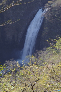 蔵王不動滝