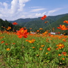 面白山高原コスモスベルク