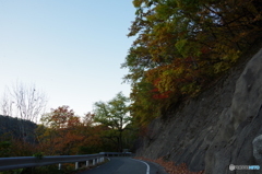 羽州街道