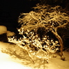 雪国　２