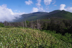 蔵王山