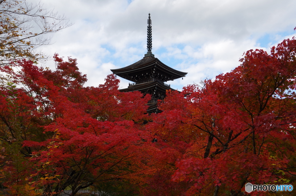 定義如来西方寺・五重塔　２