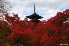定義如来西方寺・五重塔　２