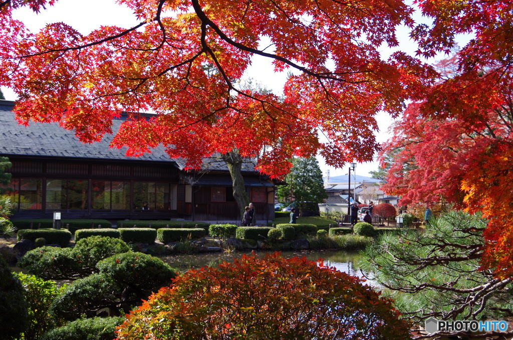 庭園