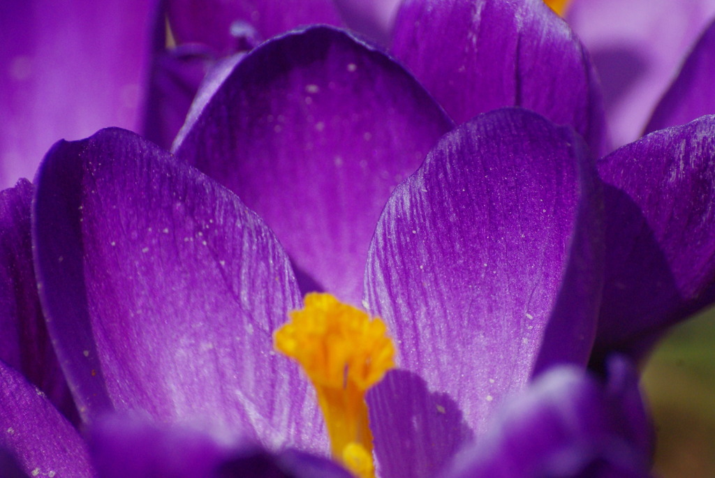 あなたを待っています♥