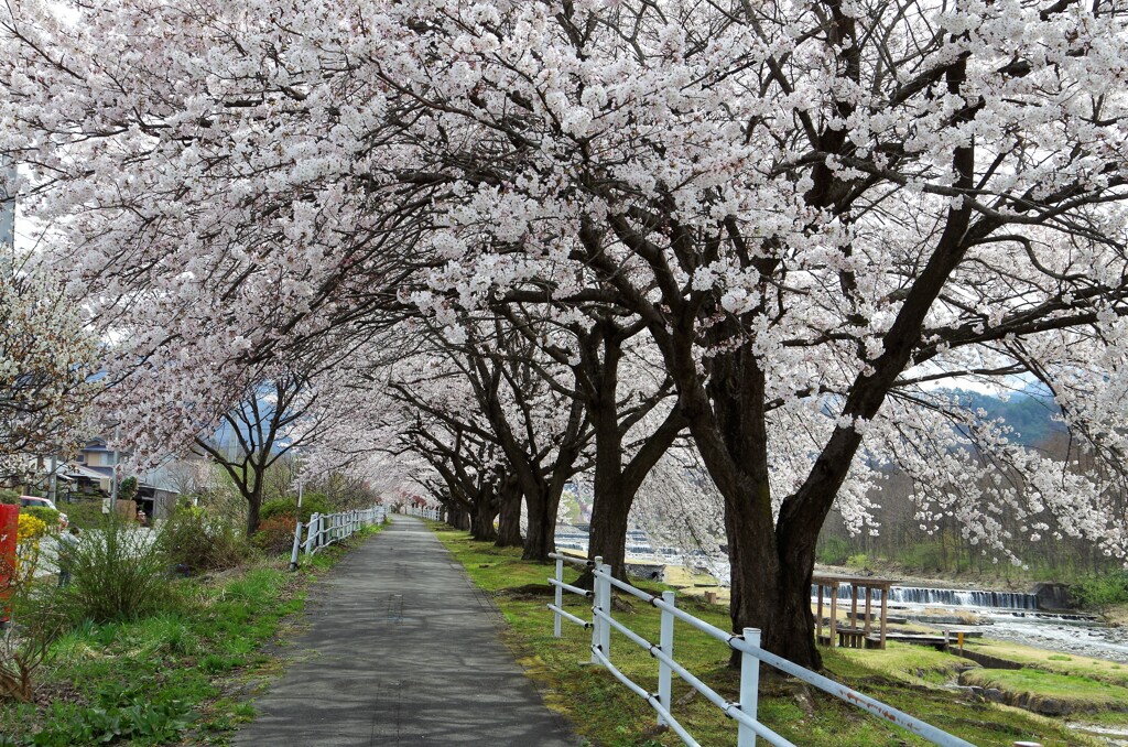 立谷川河川敷公園　３