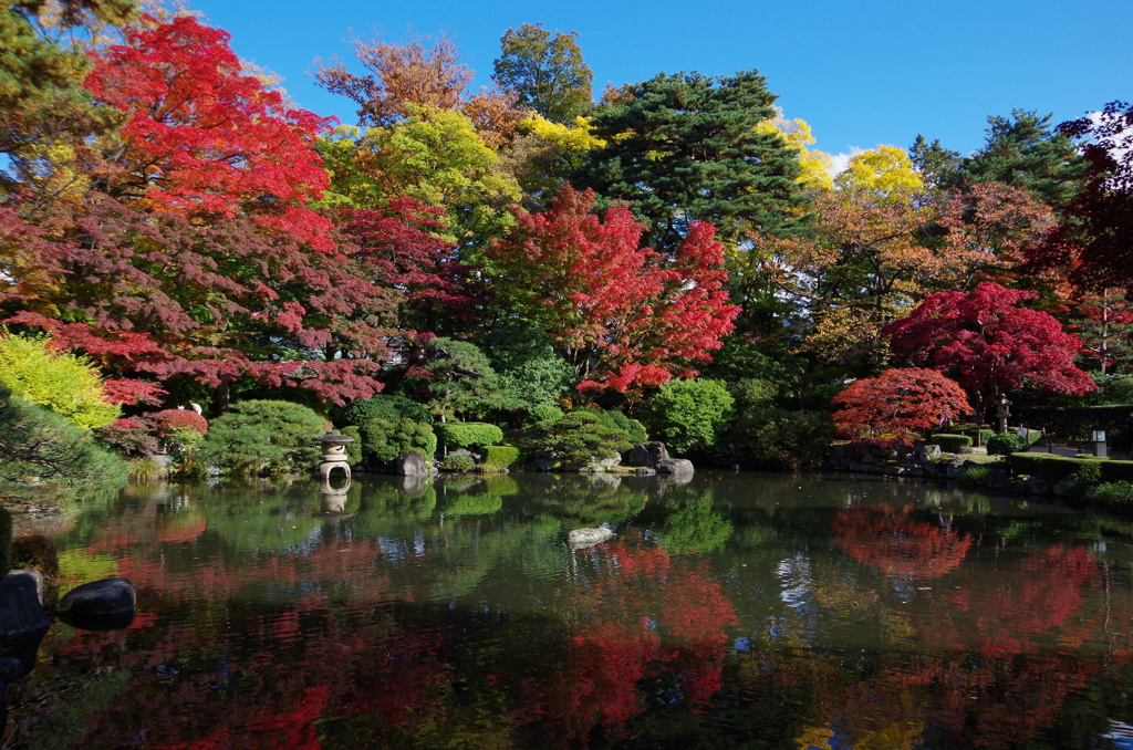 秋晴れのもみじ公園