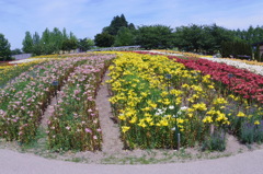 どんでん平ゆり園　