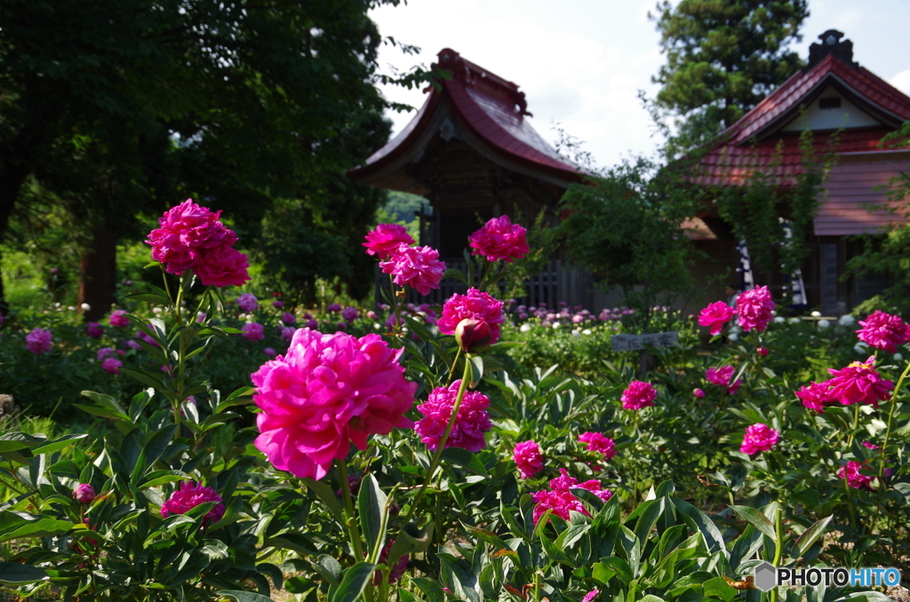 神社