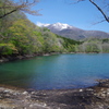 新緑の長老湖