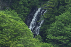 双竜の滝・黒滝